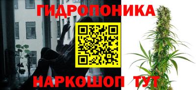 крисы Краснознаменск